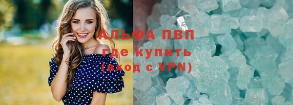 эйфоретик Няндома