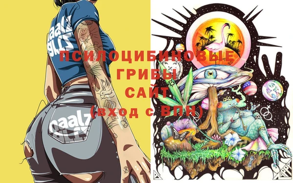 кокс Нягань