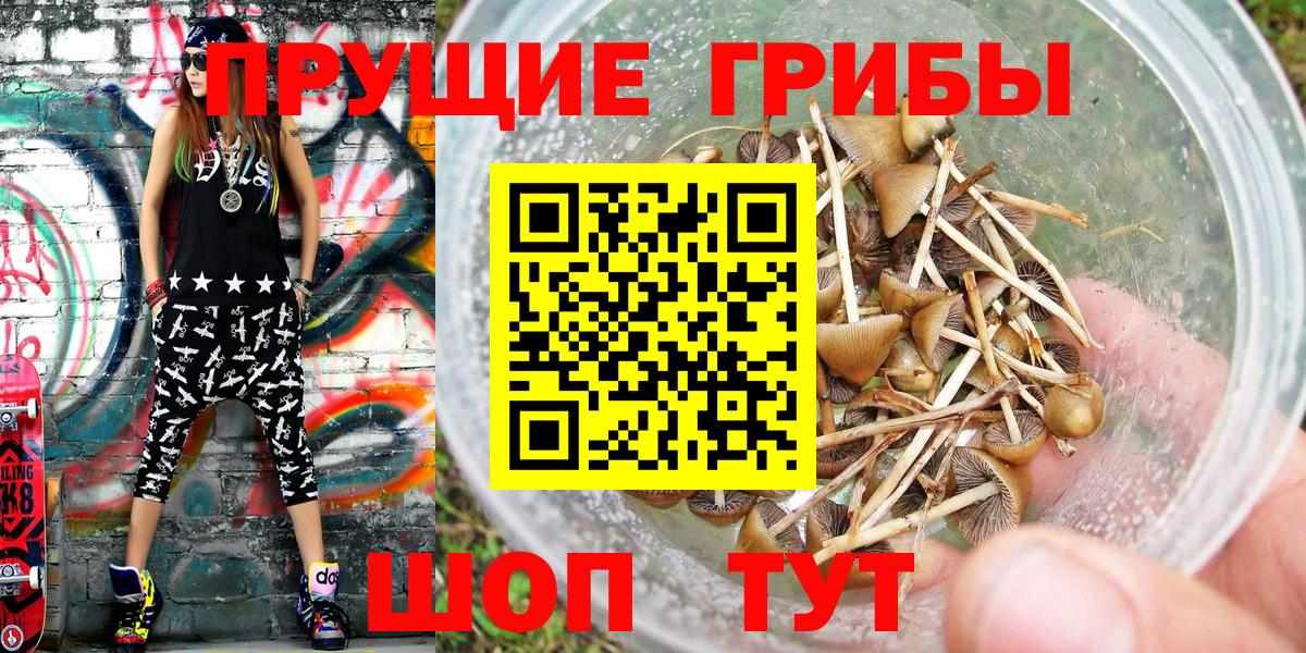 Галлюциногенные грибы прущие грибы Мыски