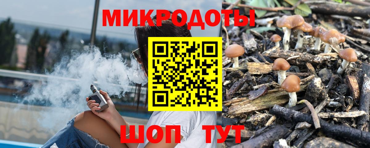Псилоцибиновые грибы прущие грибы  Вход с VPN  Галлюциногенные грибы мицелий  Мыски 